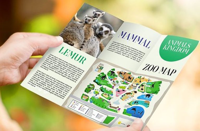Folded Leaflets
